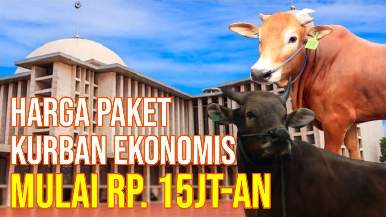 Sapi Qurban Ekonomis Harga Promo Super Murah Di Jakarta.jpg